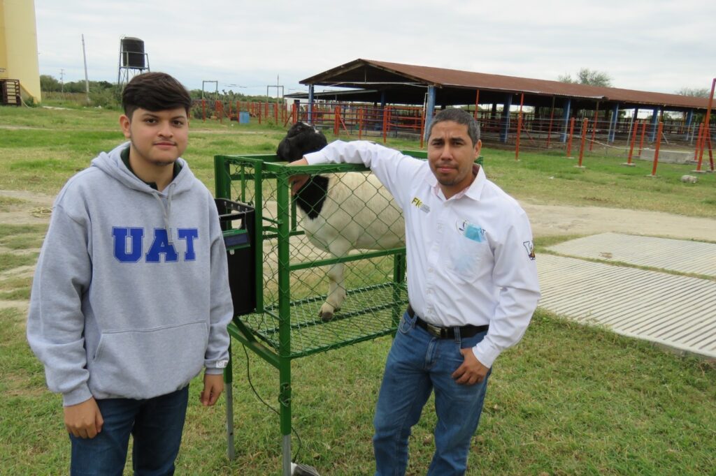 Estudiante de la UAT desarrolla innovador sistema de monitoreo de alimentación de borregos.