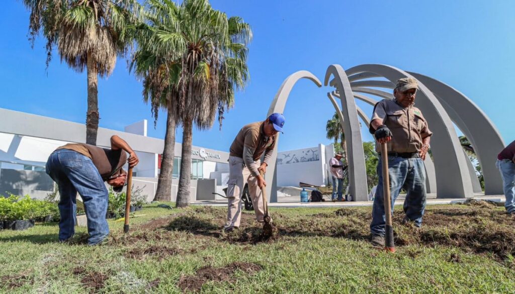 Transforma la Comisión de Parques al Museo Tamux en jardín polinizador