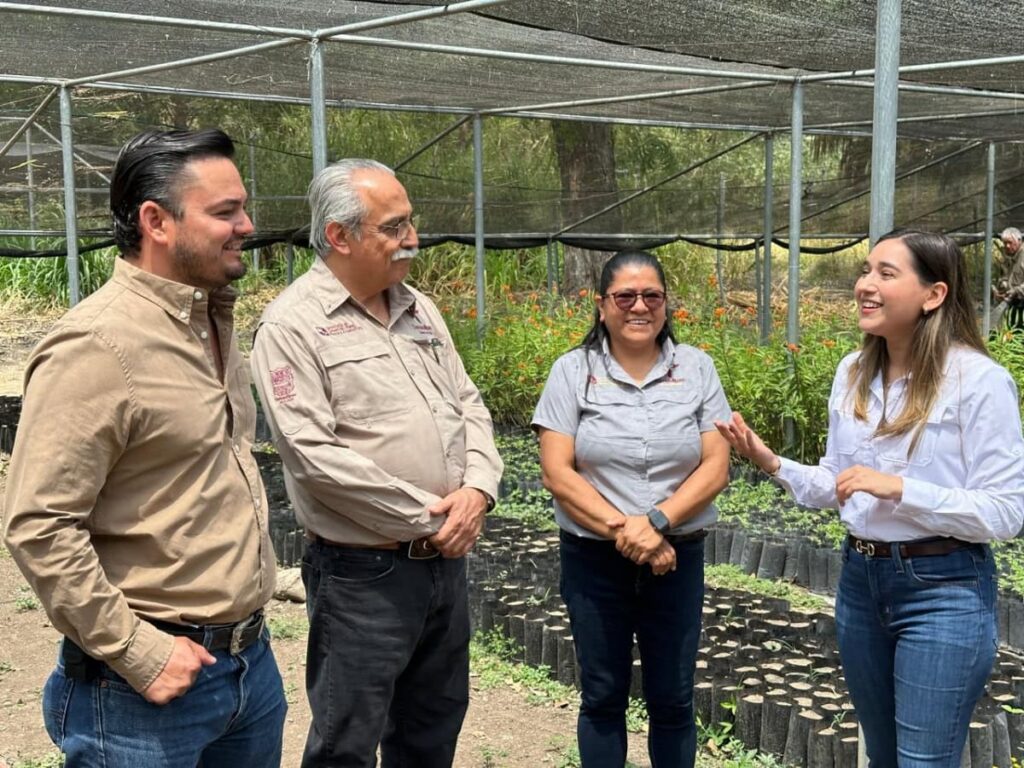 Promueven Gobierno del Estado y Congreso de Tamaulipas reforestación ambiental