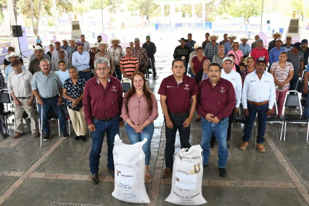 Fortalece Gobierno de Tamaulipas desarrollo agrícola en el altiplano con entrega de semilla de avena