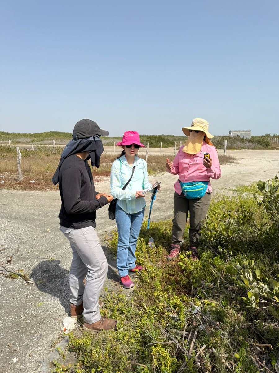 Colabora la UAT en la conservación del mangle en el litoral tamaulipeco