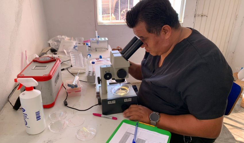 Reafirma Tamaulipas su compromiso con la innovación pecuaria