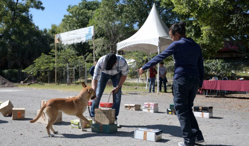 Refuerza Gobierno de Tamaulipas sanidad pecuaria con caninos especializados