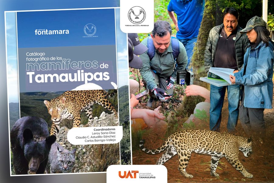 Difunde la UAT catálogo fotográfico de los mamíferos de Tamaulipas